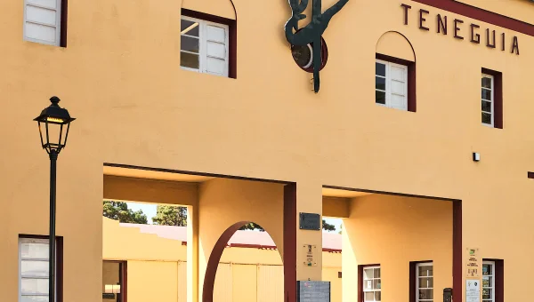 Bodegas Teneguía