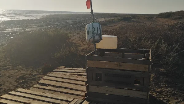 Playa de los Valdivias