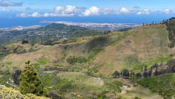 Mirador de Pinos de Gáldar