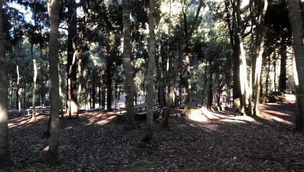 Área Recreativa La Tahoma