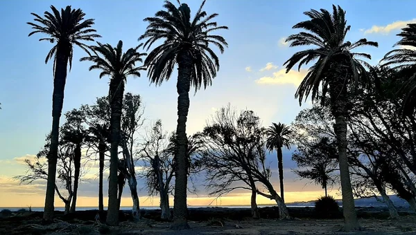 Playa del Cardón