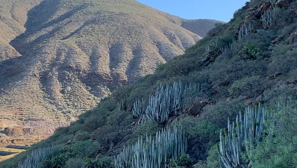 Monumento Natural de La Montaña de Guaza