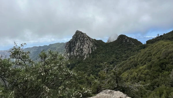 Roque de La Zarcita