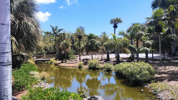 Palmetum Jardin Botánico