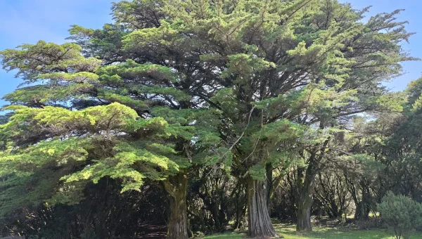Sendero La Llanía