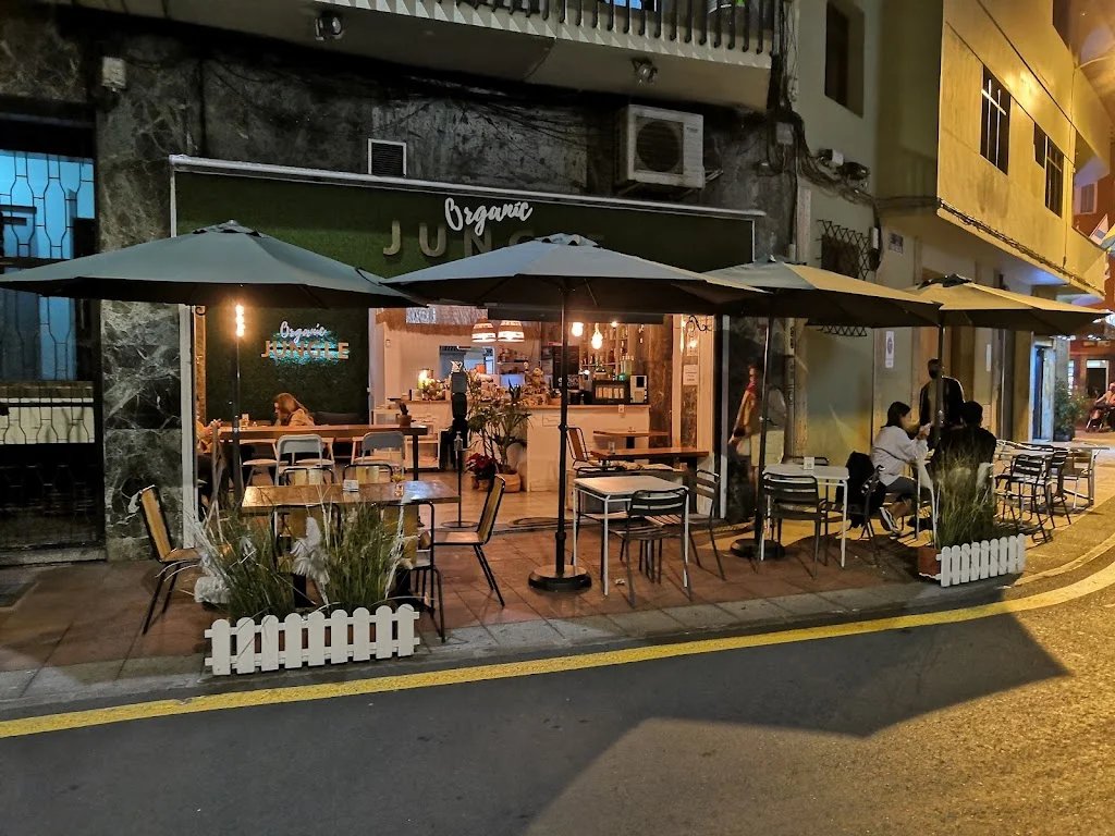 Organic Jungle Brunch and specialty coffee