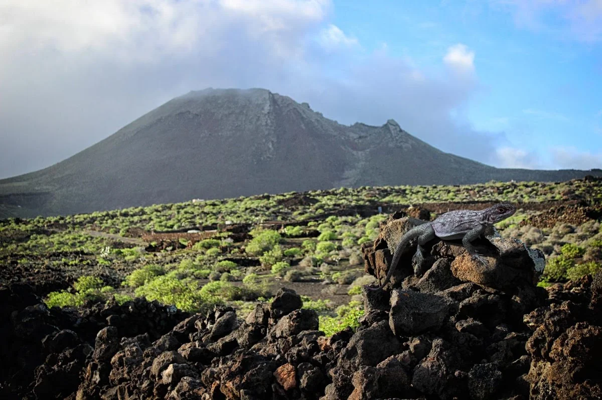 Volcán de la Corona