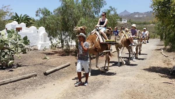 Camel Park Tenerife