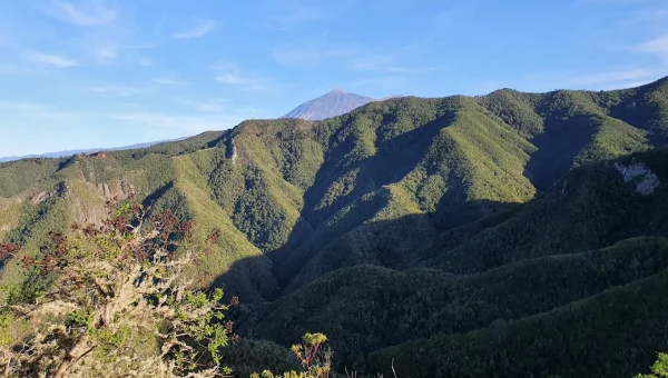 Monte del Agua