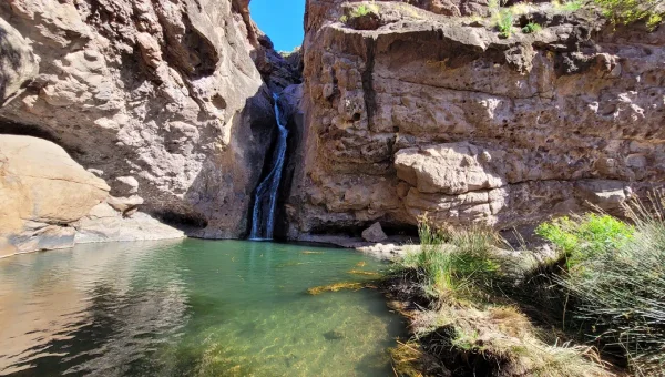 Parque Natural Tamadaba