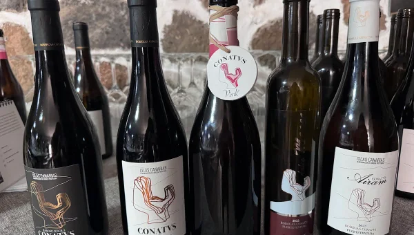 Bodegas Conatvs