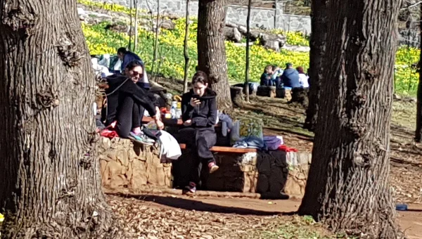 Área Recreativa de la Laguna de Valleseco