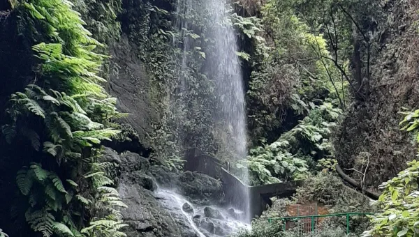 Cascada De Los Tilos