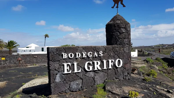 Museo del Vino EL GRIFO