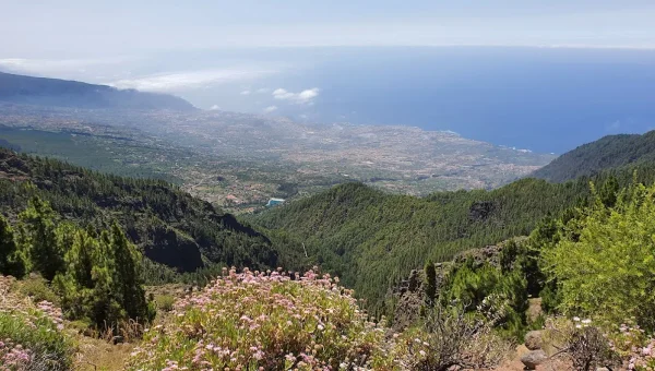 Mirador de Ayosa