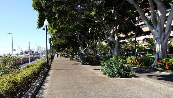 Avenida De Anaga