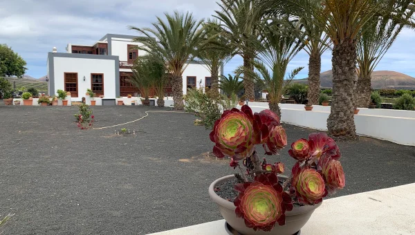 Bodega Los Bermejos