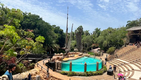 Jungle Park
