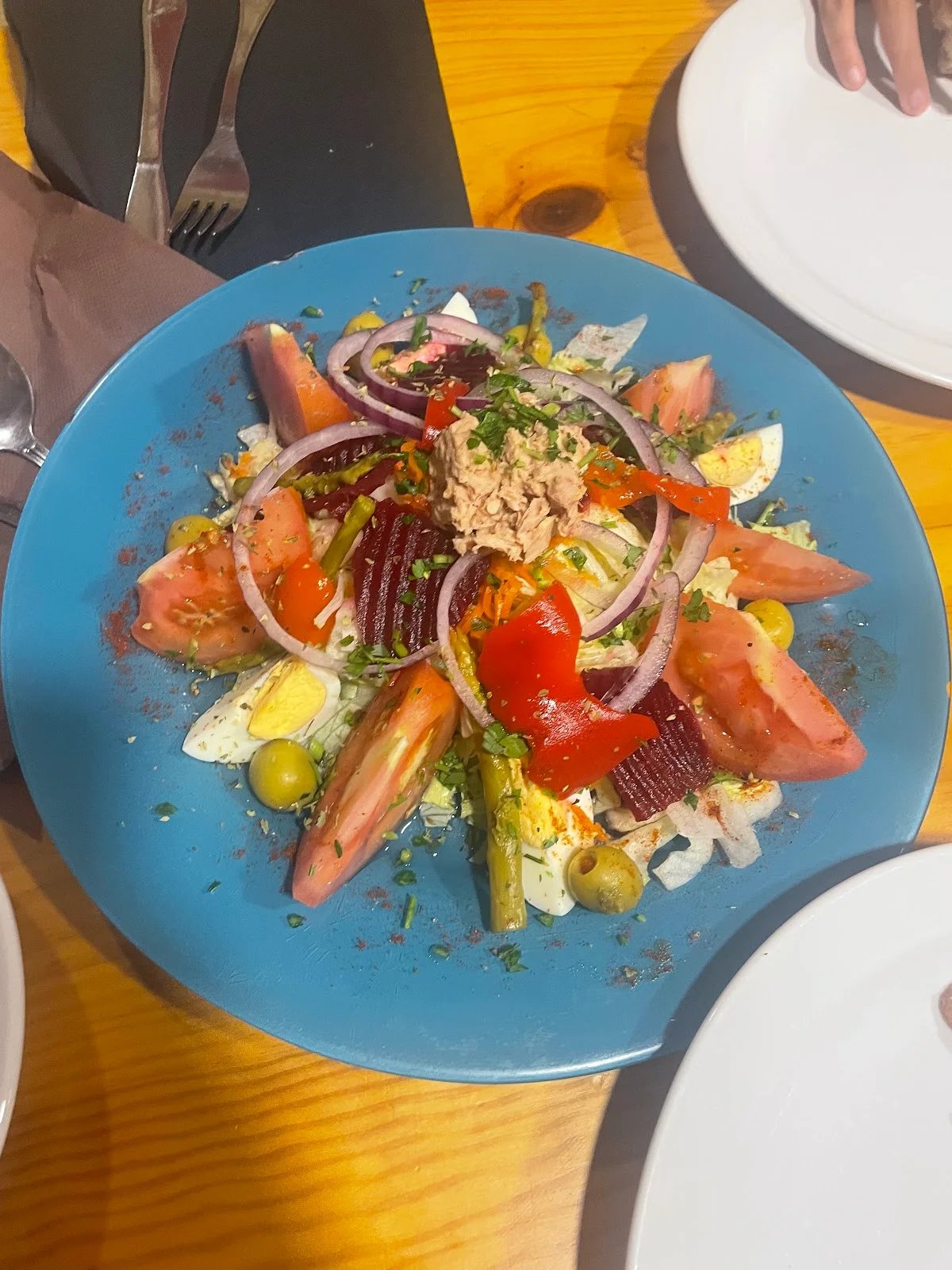 Brasa carbón y leña