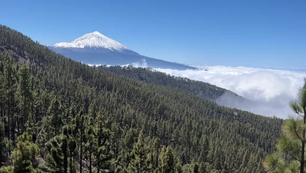 Mirador Montaña Limón