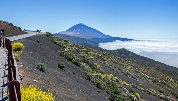 Mirador de el Roque de Caramujo