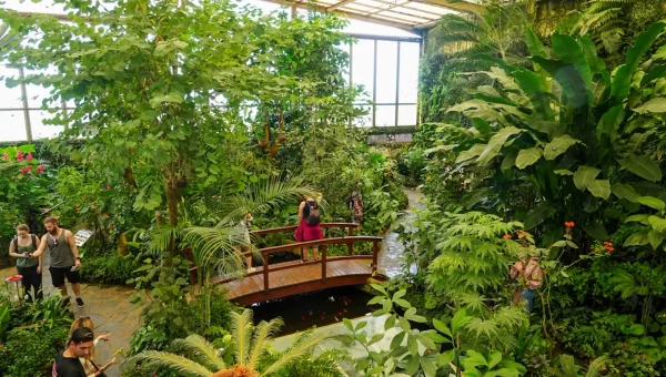 Mariposario del Drago
