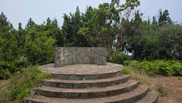 Pico de las Flores