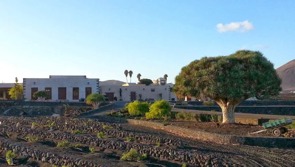 Bodegas La Florida