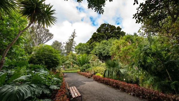 Jardín Botánico