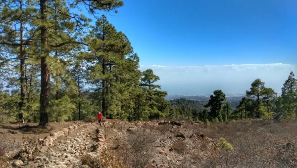 Área Recreativa El Contador