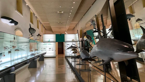 Museo de Naturaleza y Arqueología. MUNA.