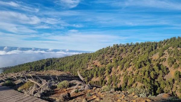 Llano de Las Ánimas