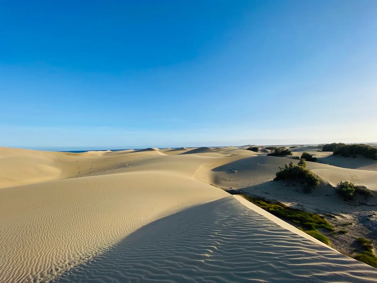 Maspalomas Dunes