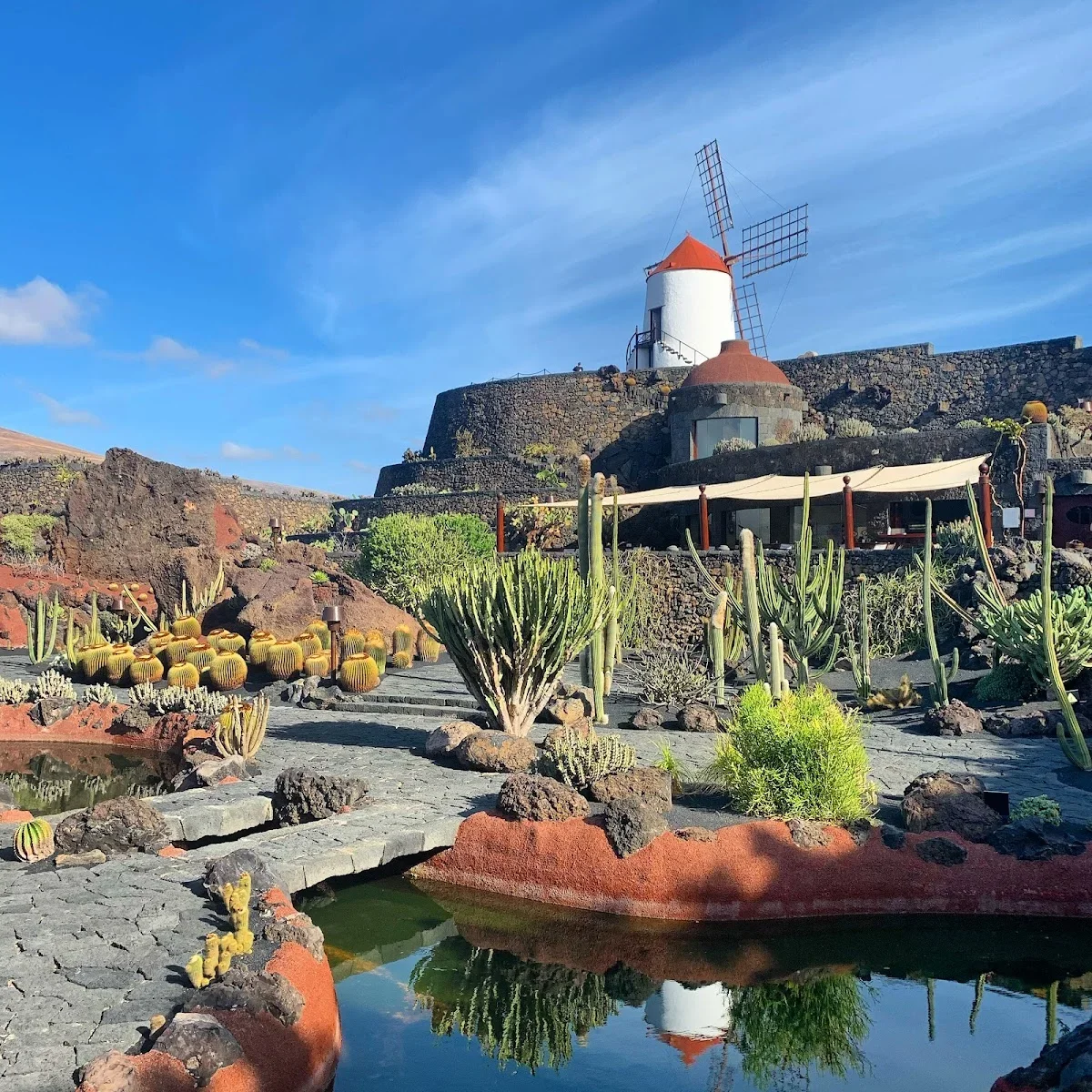 Jardín de Cactus
