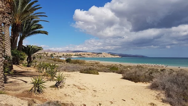 Playa del Matorral