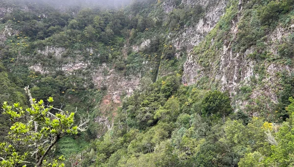 Chorros del Cedro