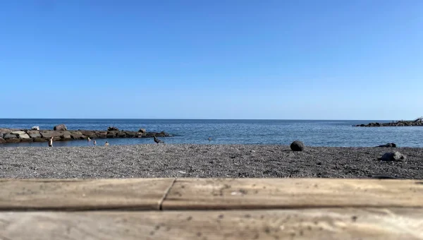 Playa de las Arenas