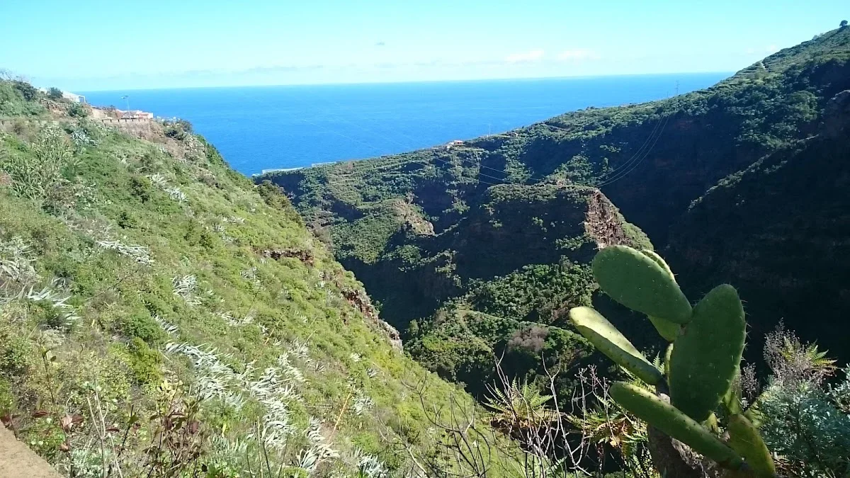 Mirador Jardín de las Hespérides