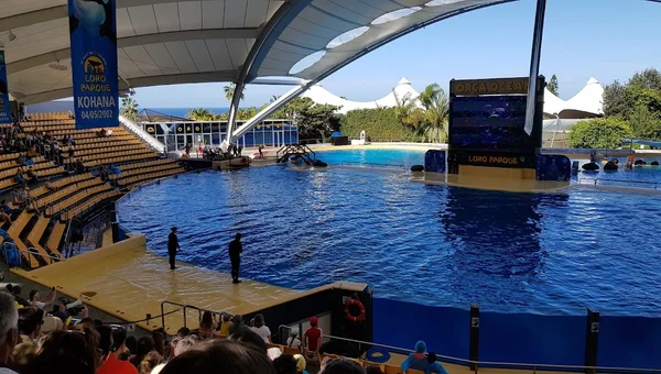 Loro Parque