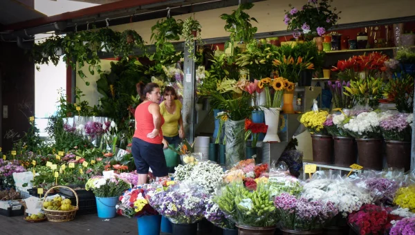 Mercado La Laguna