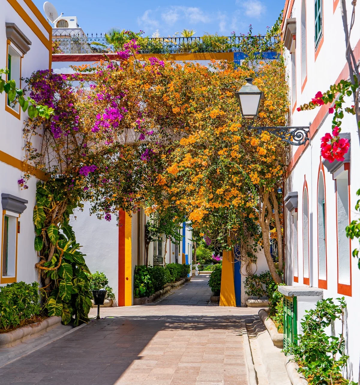 Puerto de Mogán