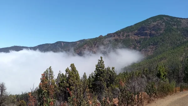 Sendero La Caldera-Aguamansa