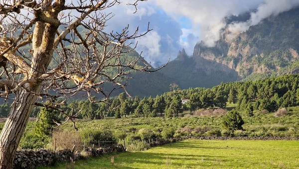 Llano de Las Cuevas