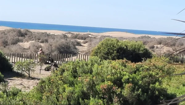 Mirador de las Dunas