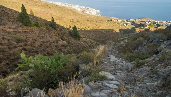 Sendero SL-TF 299 El Centeno