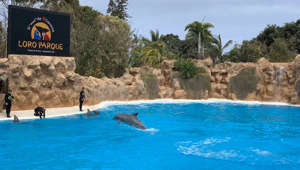 Dolphinarium