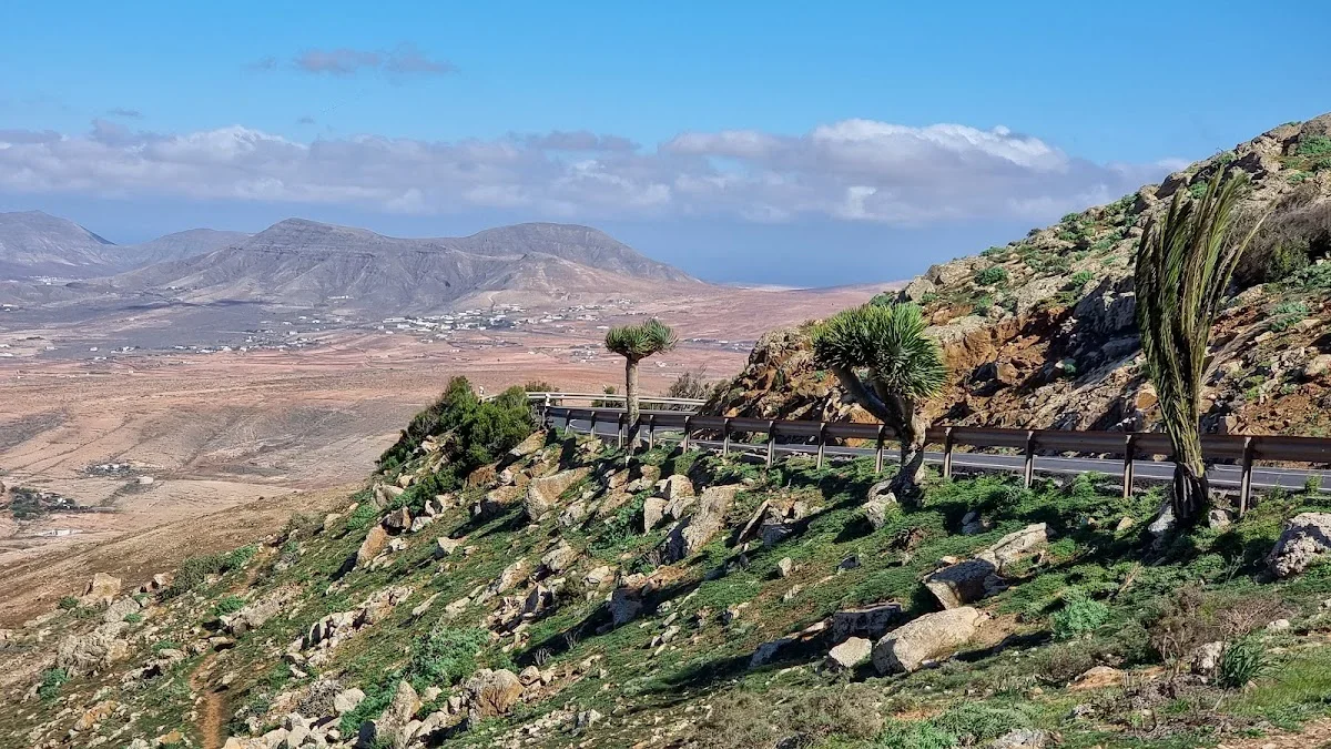 Guise and Ayose Viewpoint